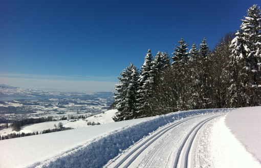 Loipenbericht